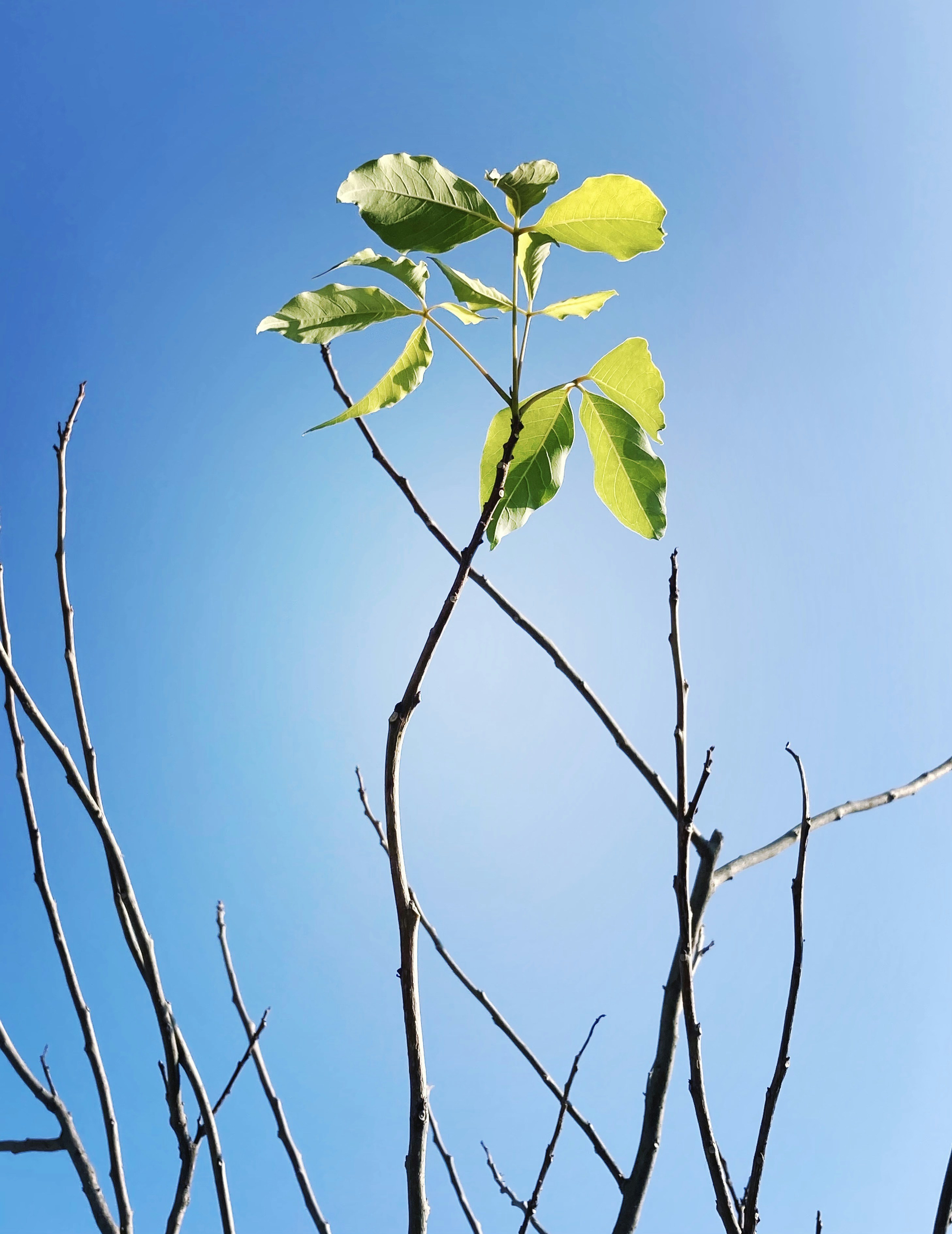 Photo by thomaskinto