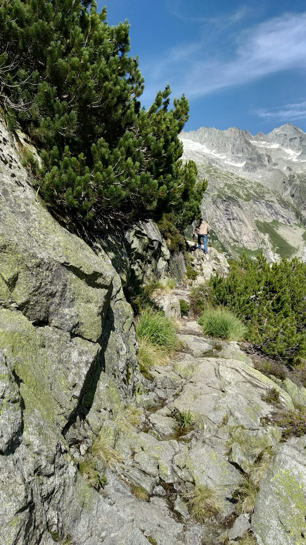 person in blue shirt and blue denim jeans standing on rocky mountain during daytime