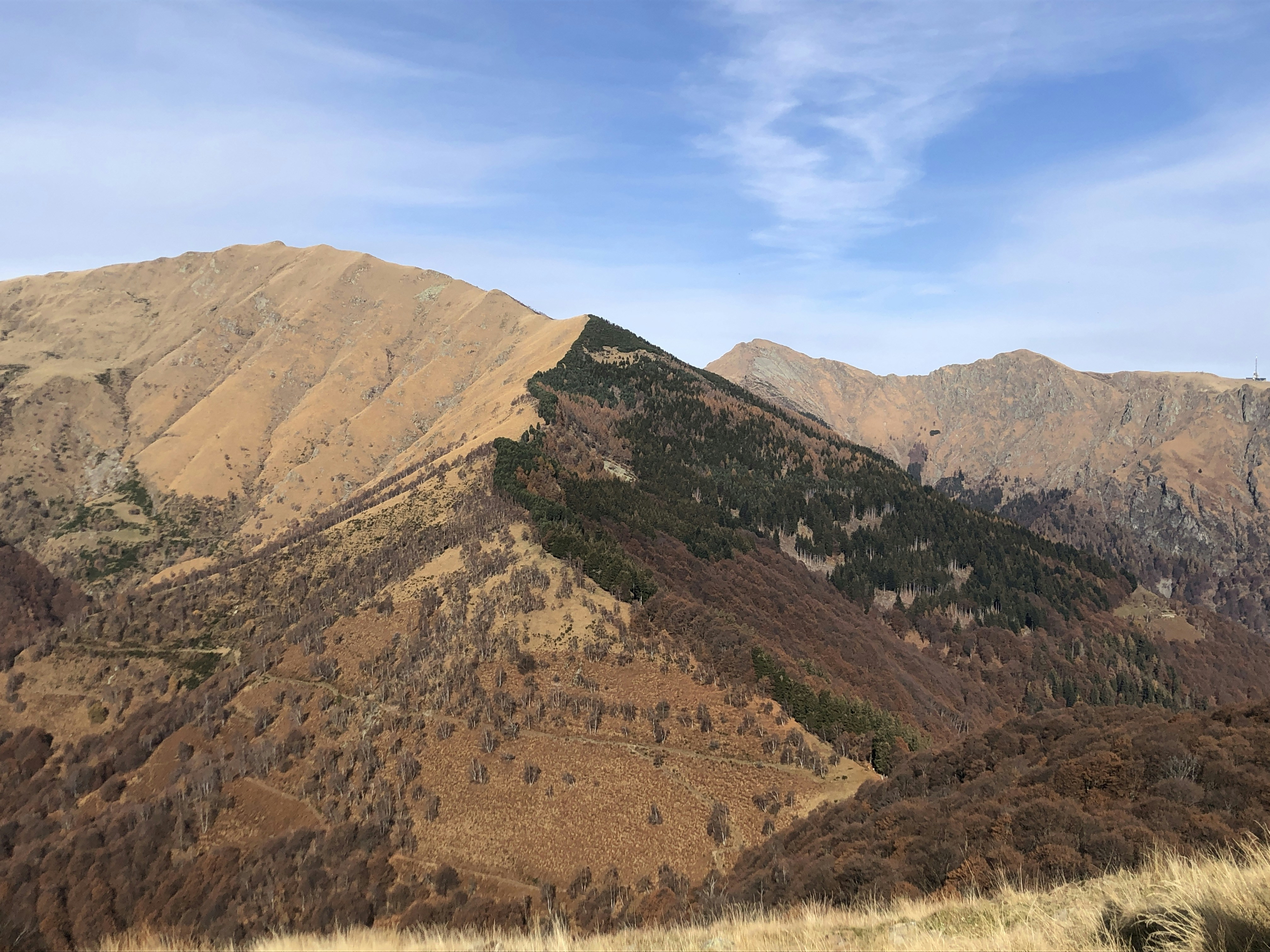 Photo by matteocheda