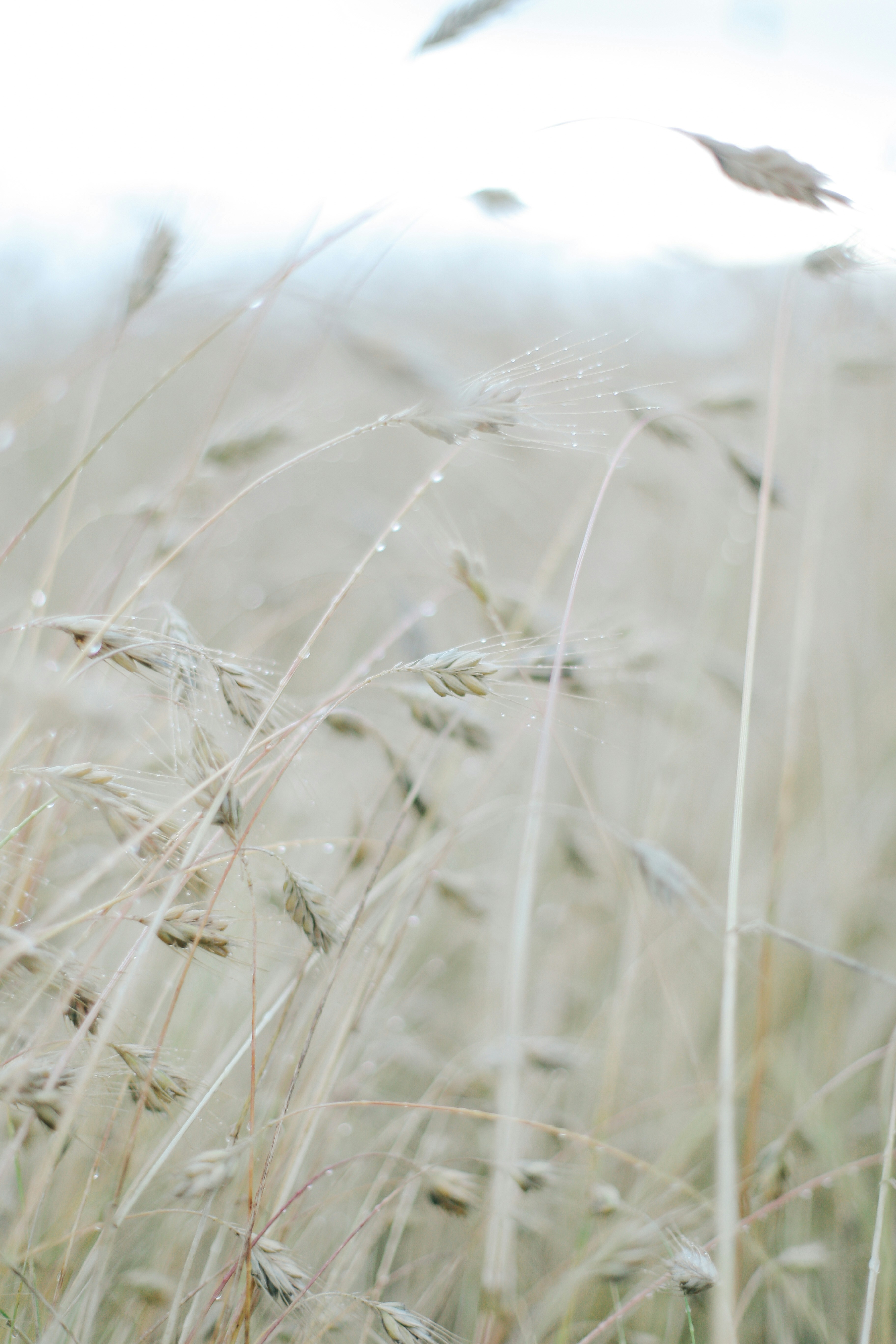 Photo by goldendaria