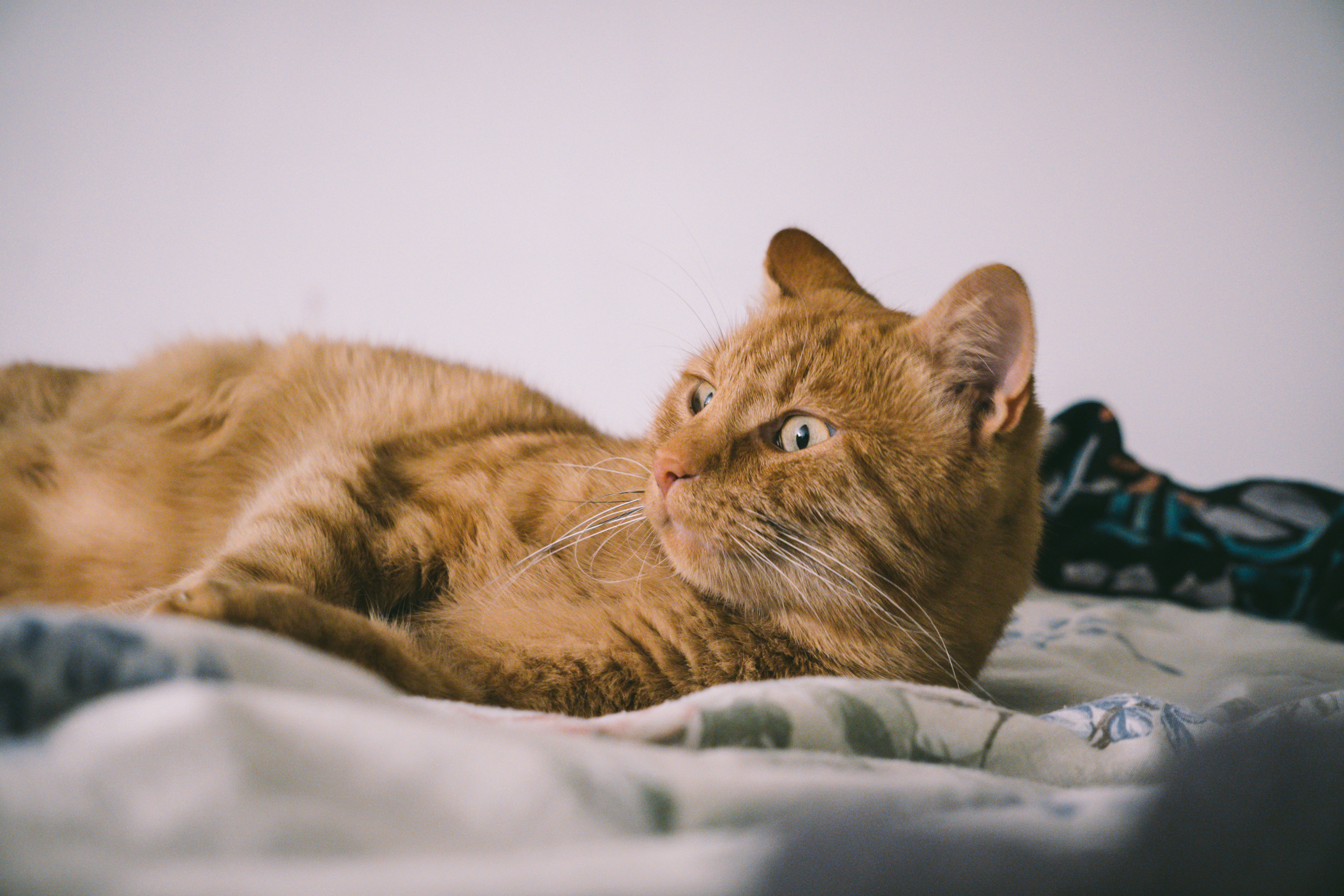 Photo by kat_von_wood