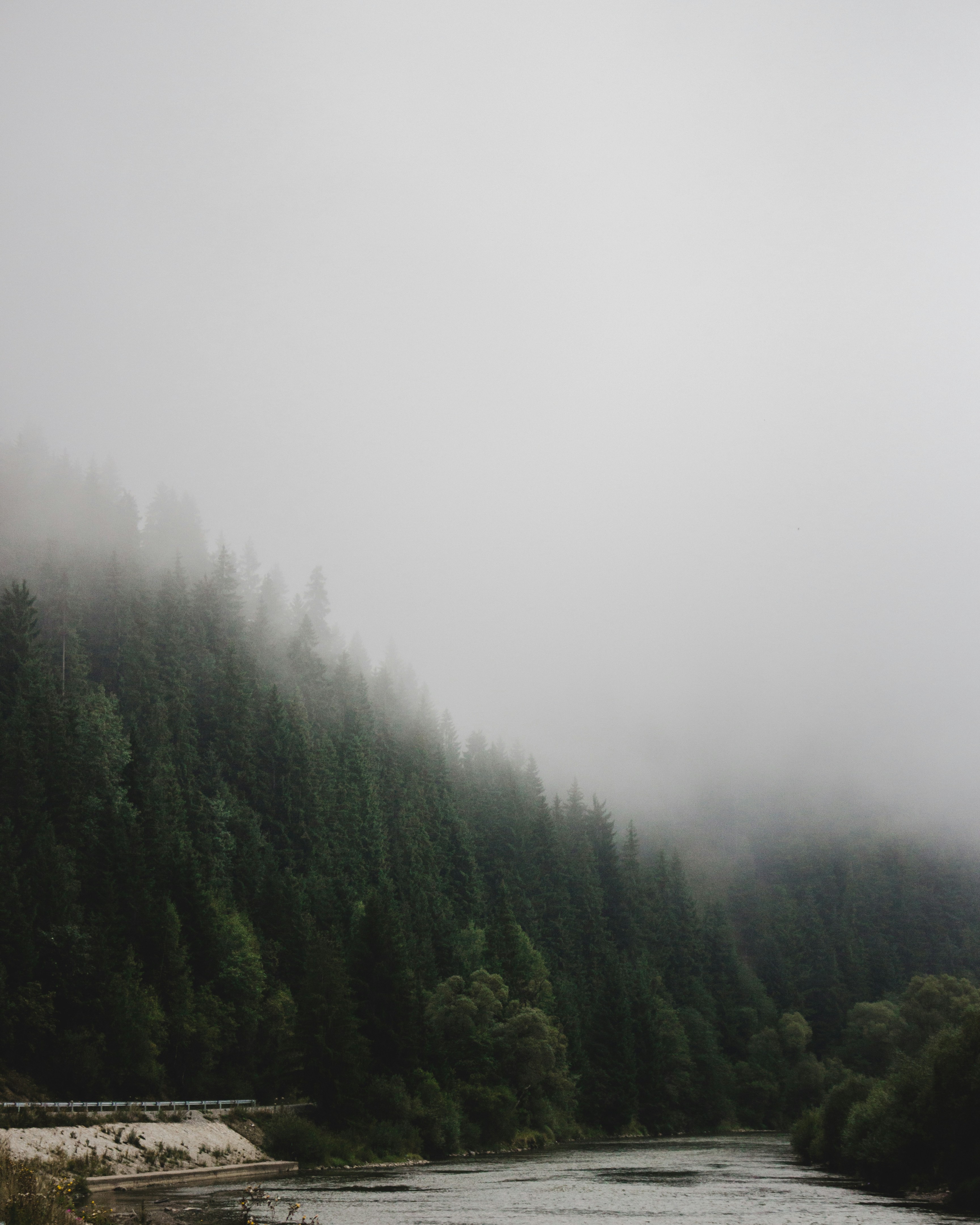 Photo by roman_lupan