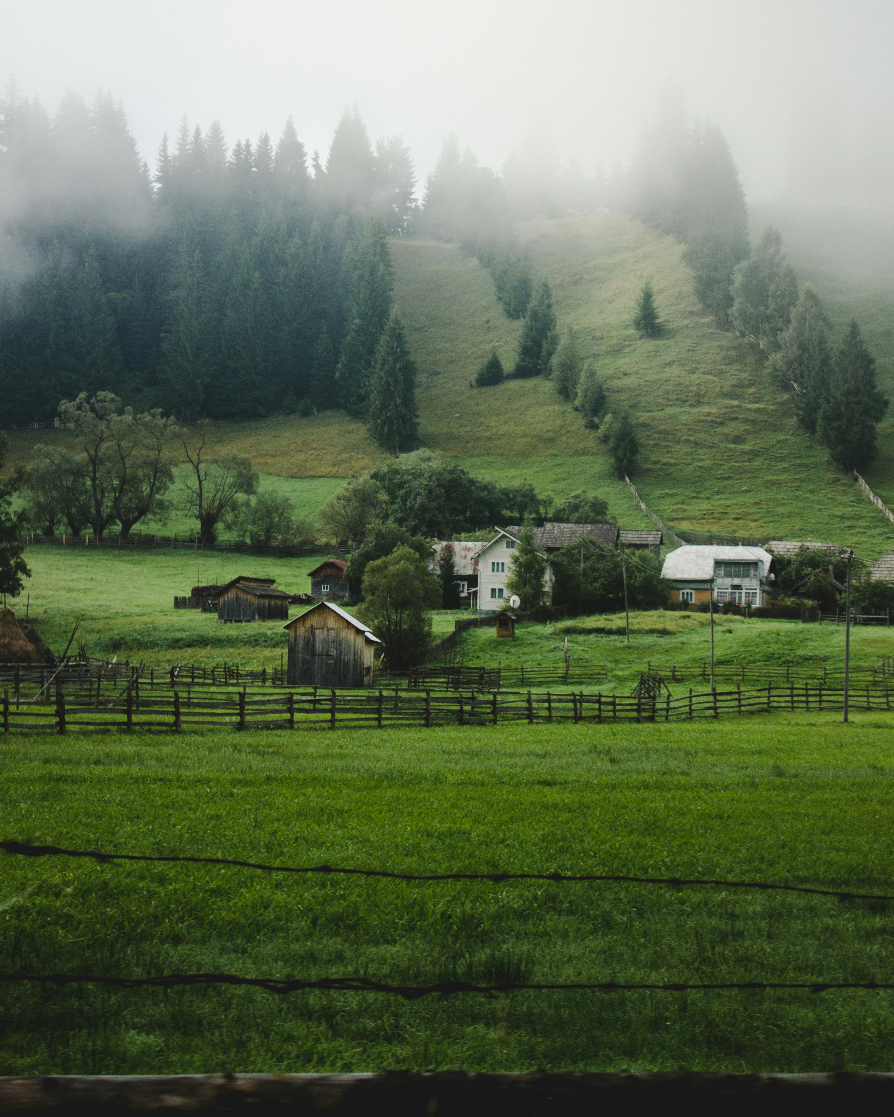 Photo by roman_lupan