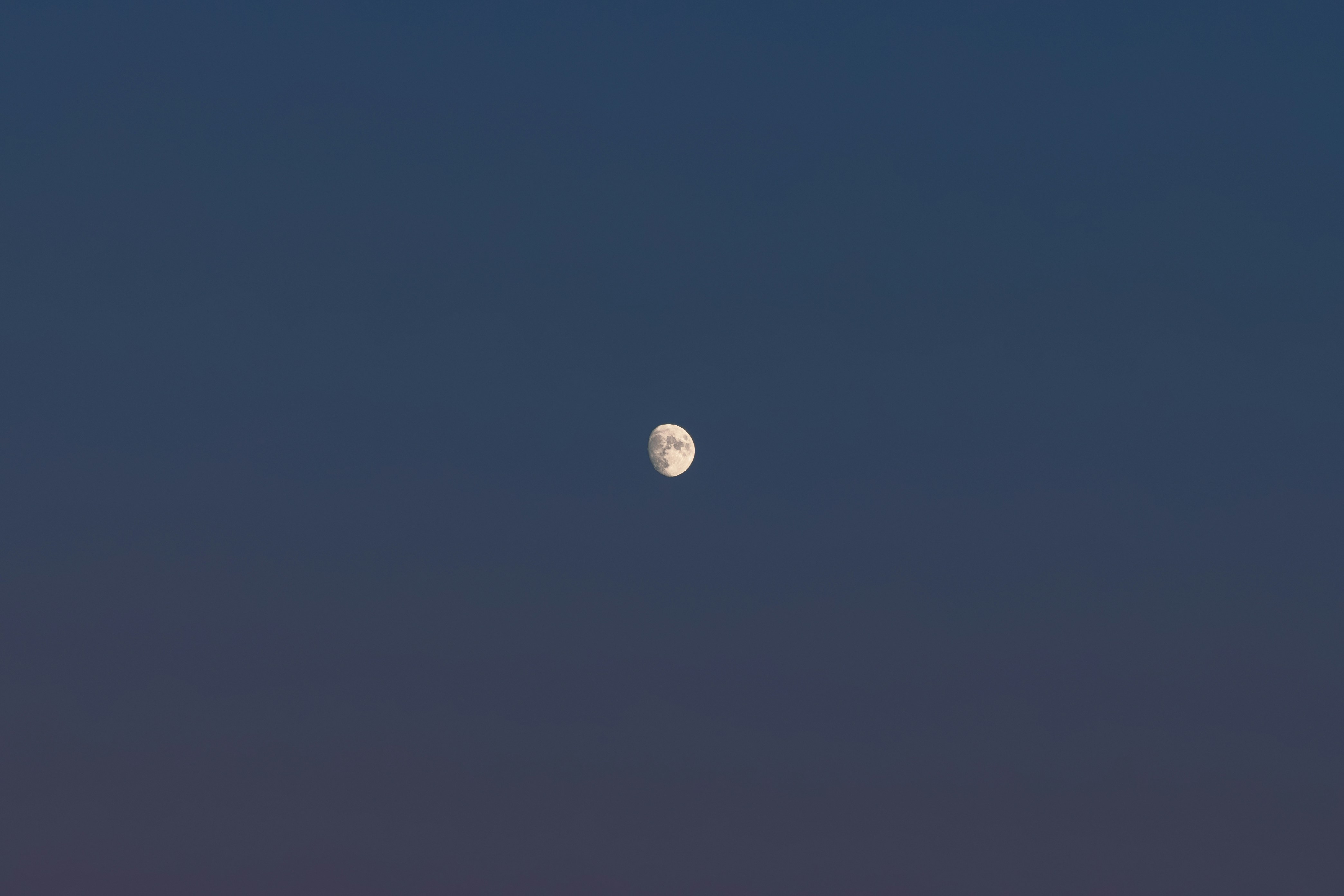 PERTUMBUHAN STEK BUAH NAGA (Hylocereus costaricensis L.) PADA BERBAGAI KOMPOSISI MEDIA TANAM DAN PANJANG STEK Image