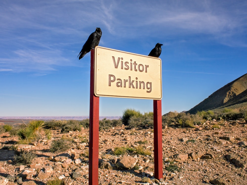 white and black wooden signage