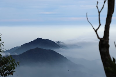 A serene landscape photograph capturing a misty morning in the mountains.