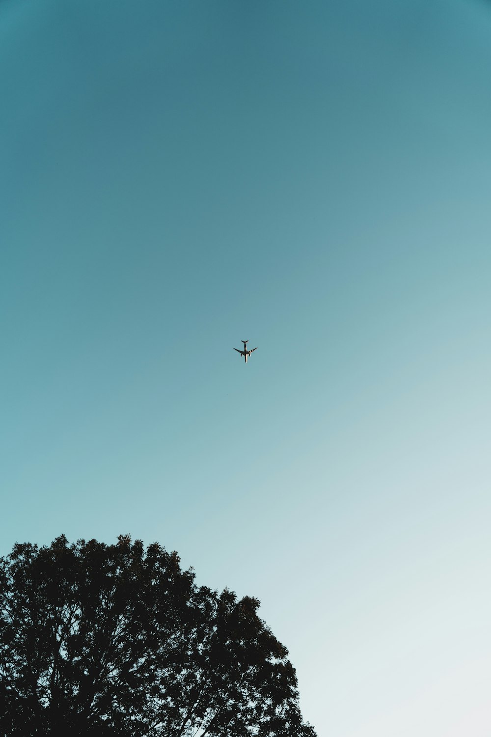 airplane flying over green tree during daytime