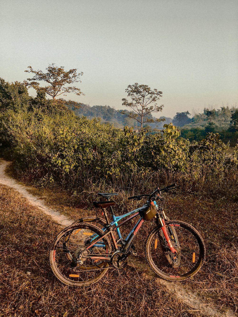 blue and black mountain bike on brown grass field during daytime