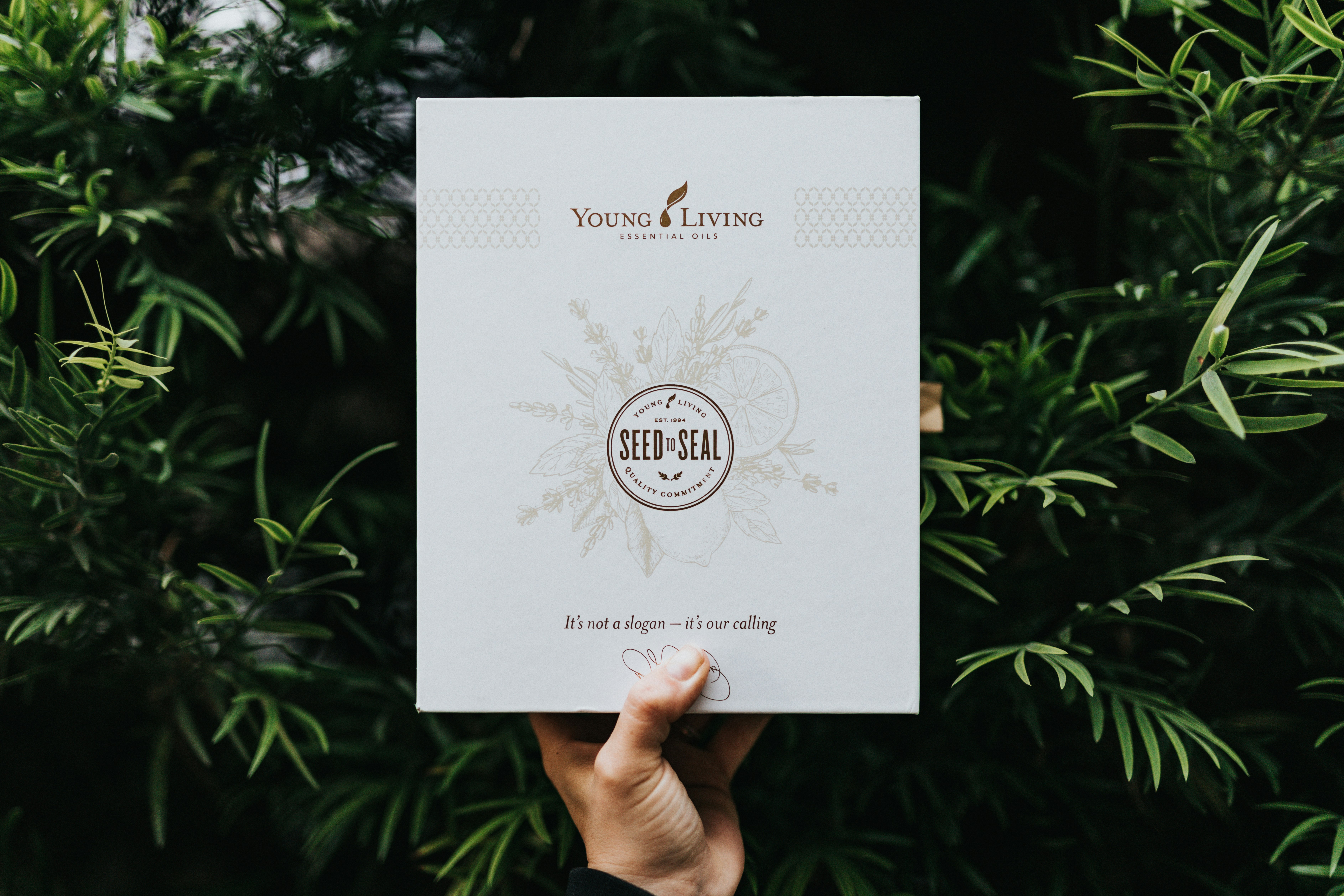 Sustainable brand identity design pack for eco-conscious startups