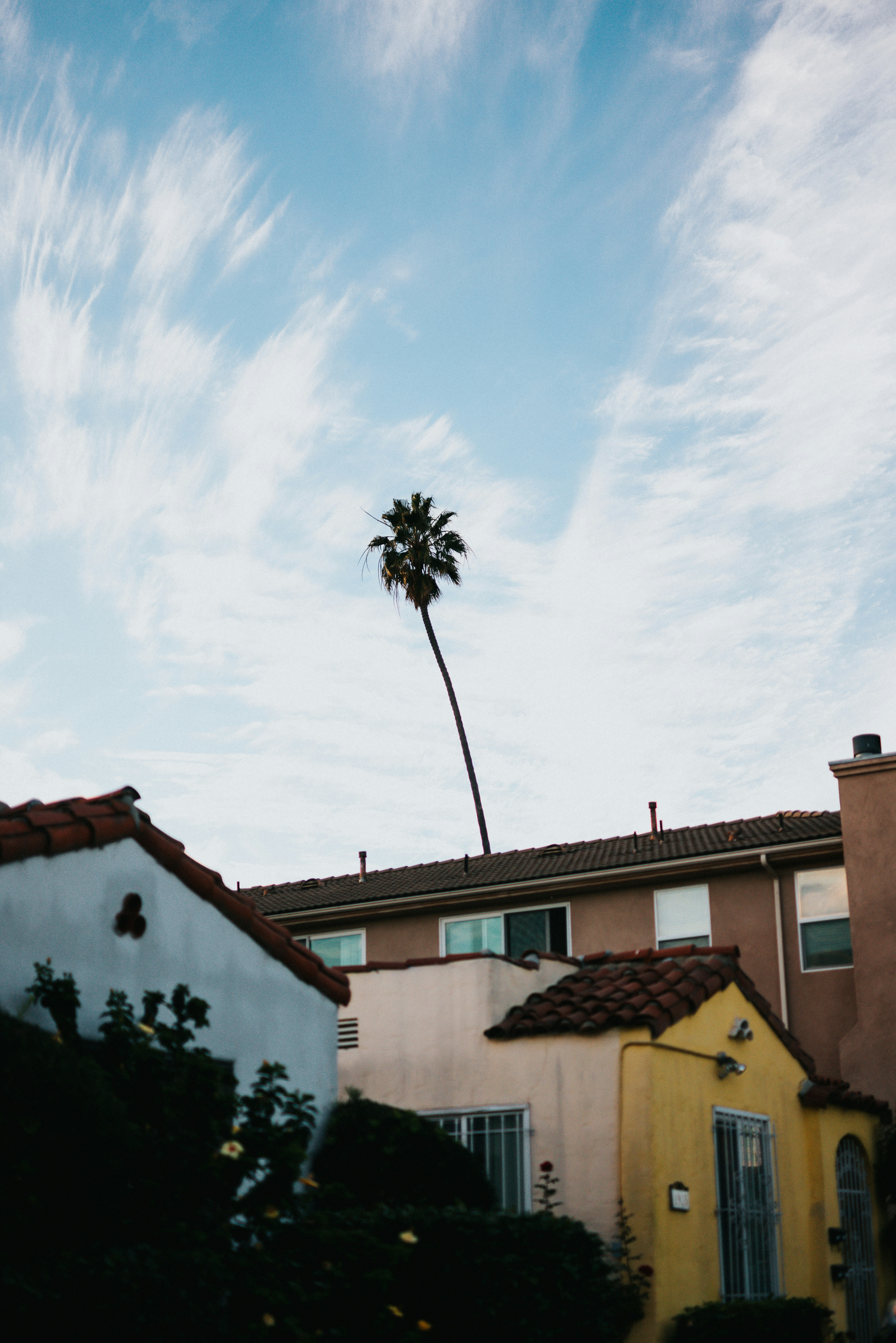 Photo by nate_dumlao