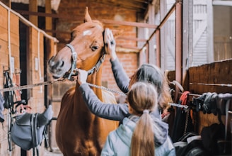 girl in blue jacket holding brown horse