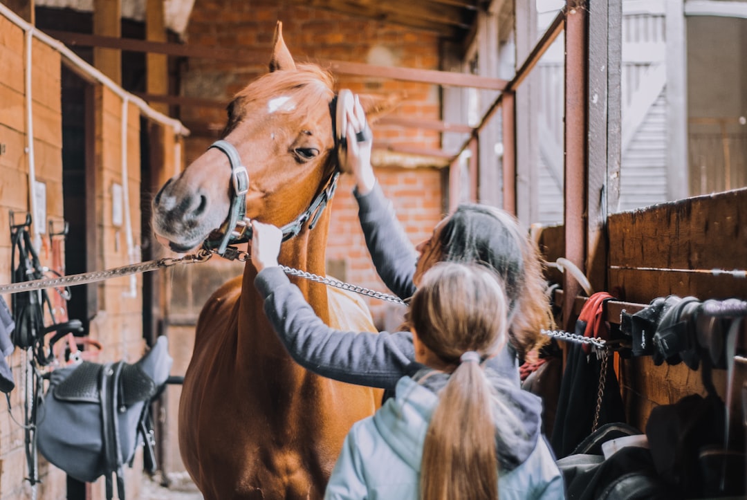 horse therapy program participants learning trust building exercises