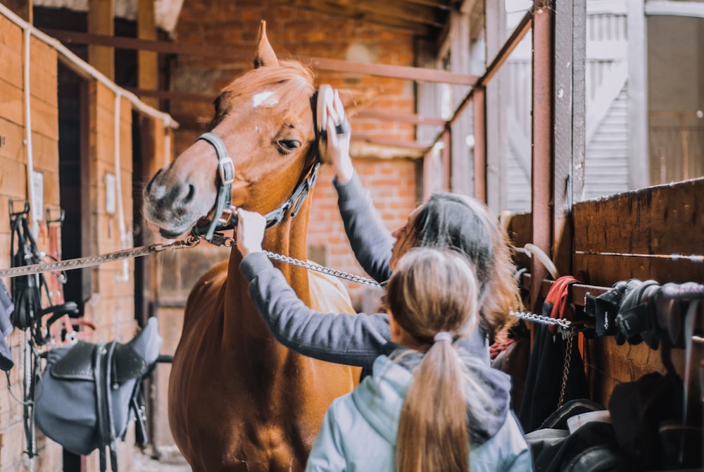 girl in blue jacket holding brown horse