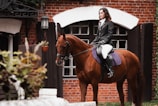 woman in black jacket riding brown horse during daytime