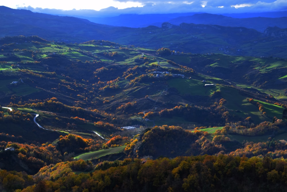 green trees on mountain during daytime