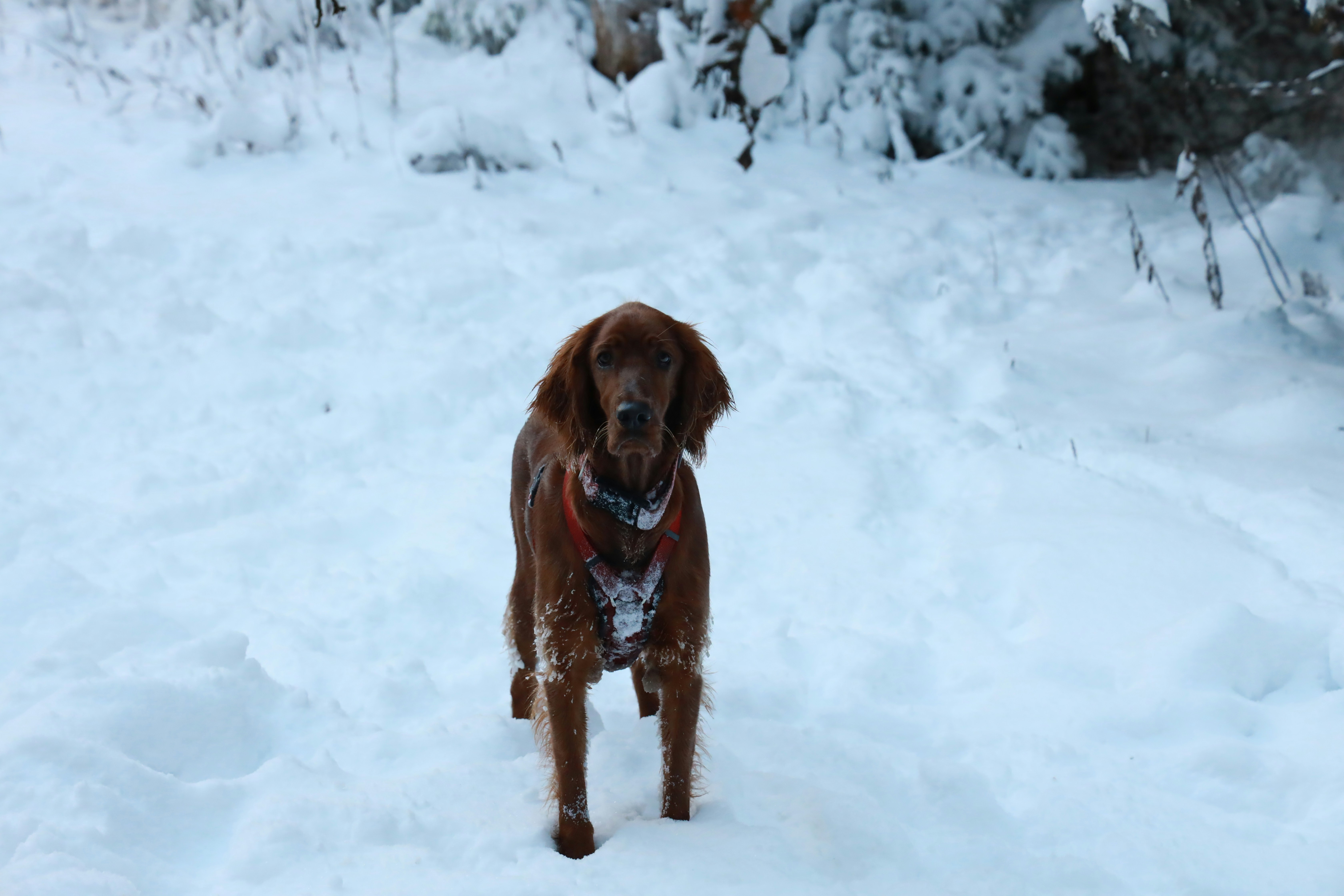 Photo by richardworks