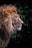 A majestic lion with a thick, richly colored mane stands in profile against a backdrop of dark green leaves. The lighting accentuates the textures of the lion's fur and the shadows cast by the foliage.