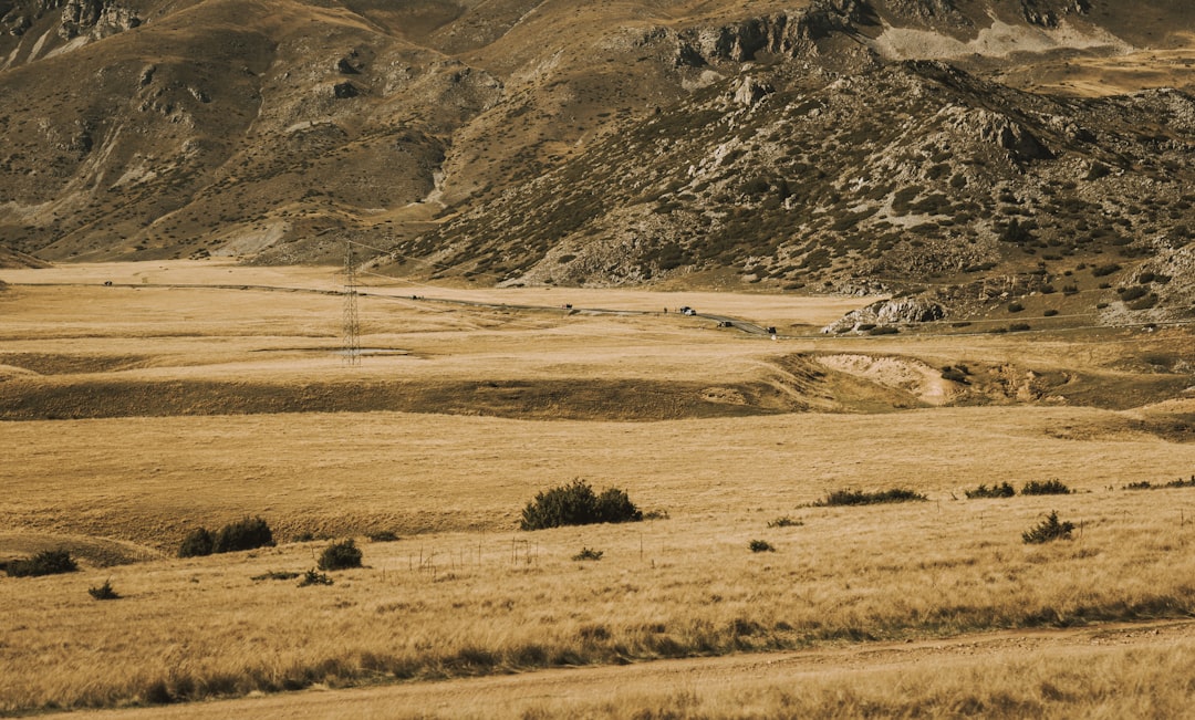 green grass field near mountain during daytime