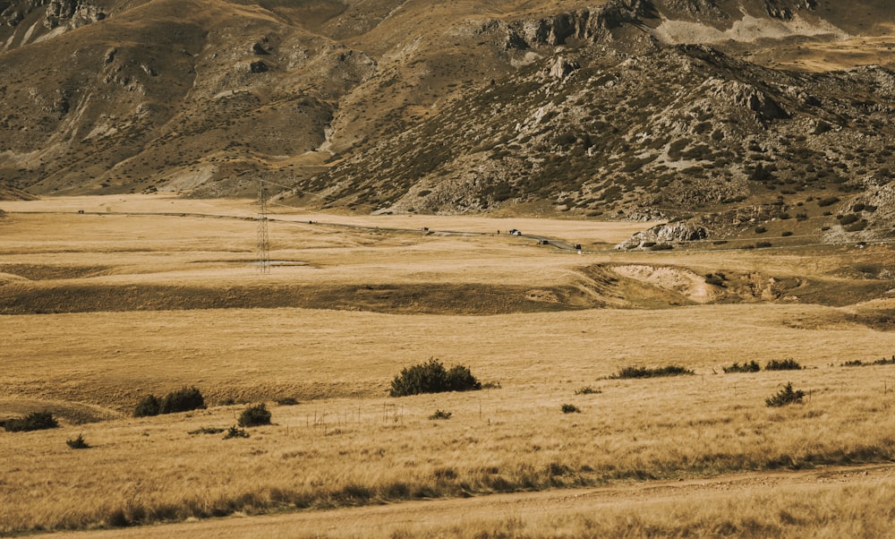 Campo de hierba verde cerca de la montaña durante el día