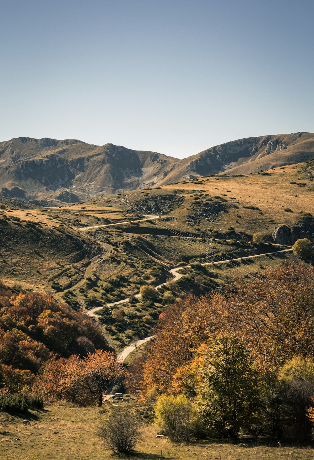 green trees on brown field near brown mountains during daytime