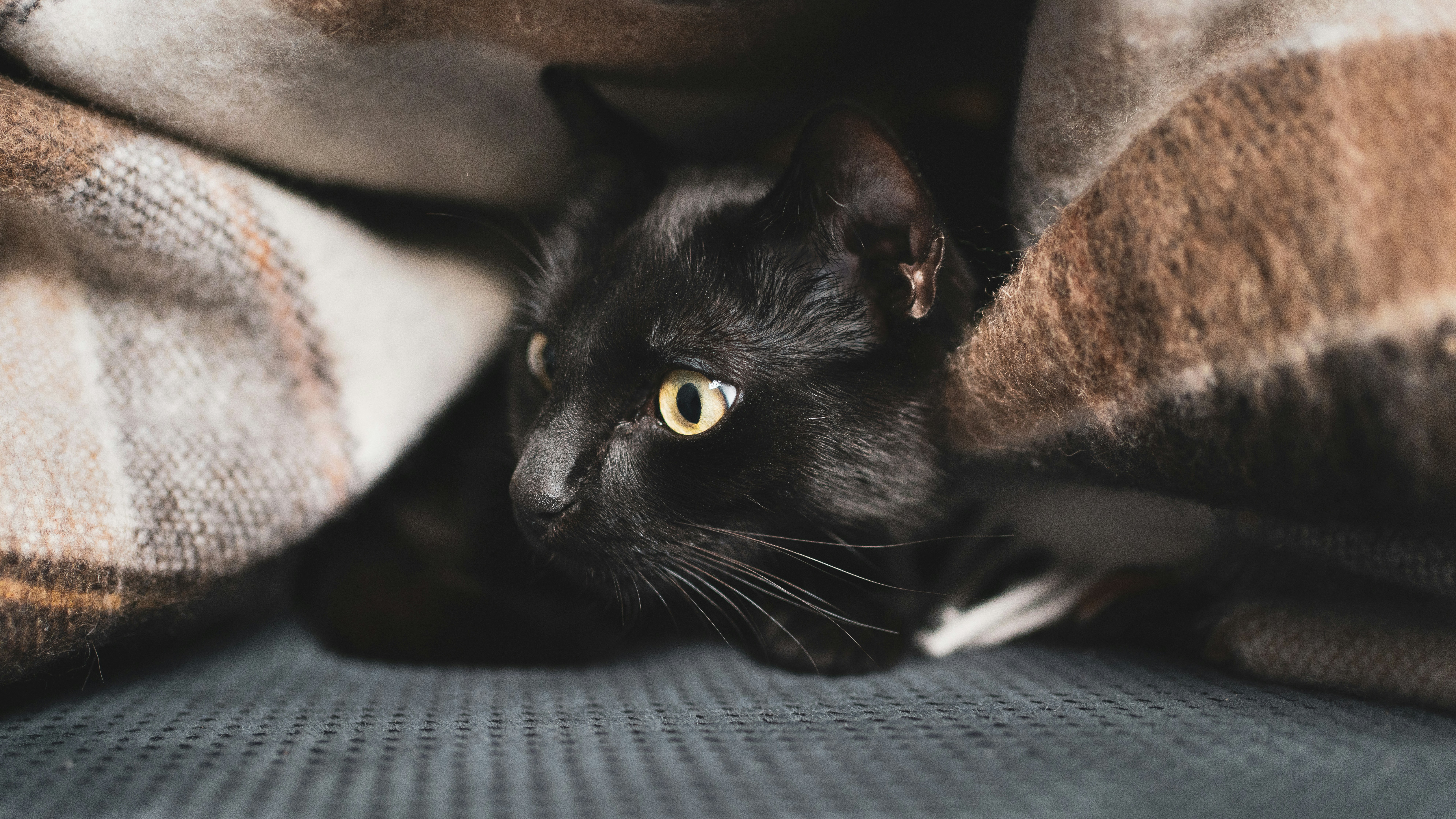 Photo by starszywachty