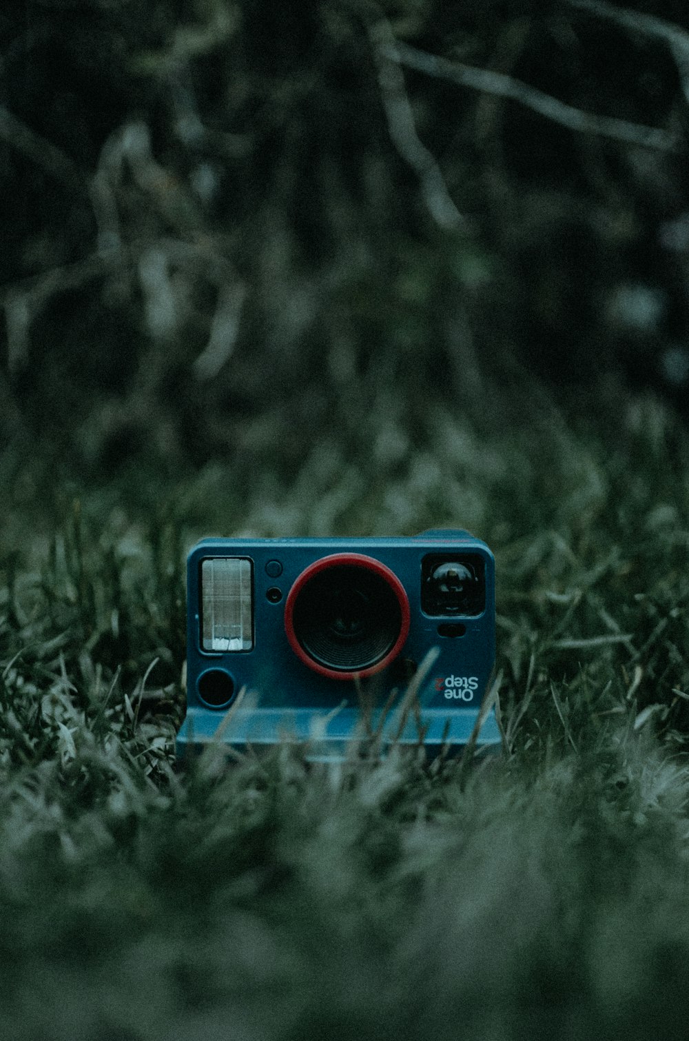 red and black polaroid camera on green grass