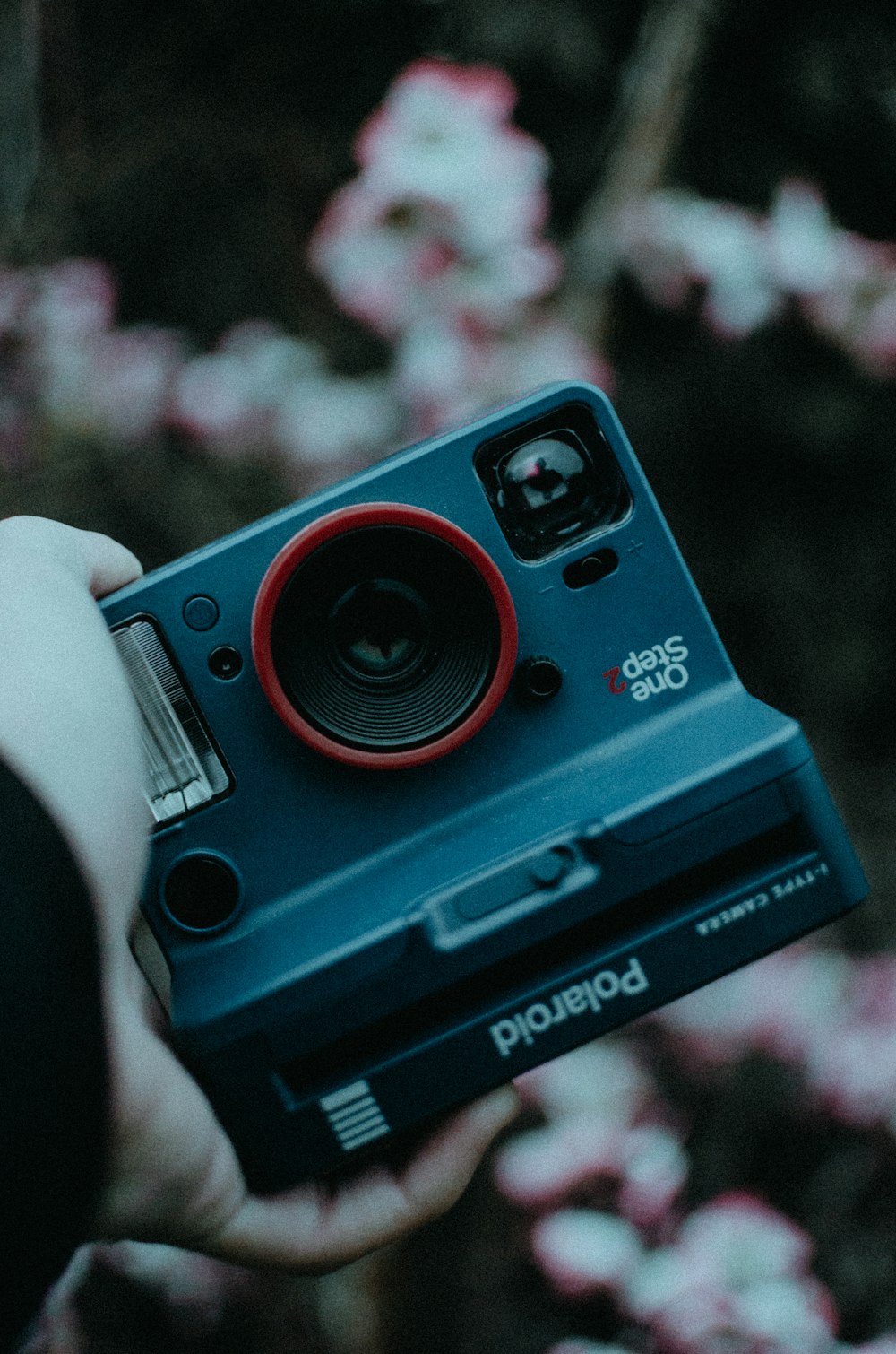 Foto de persona con cámara polaroid azul y negra – Imagen gratuita  Chernivtsi en Unsplash
