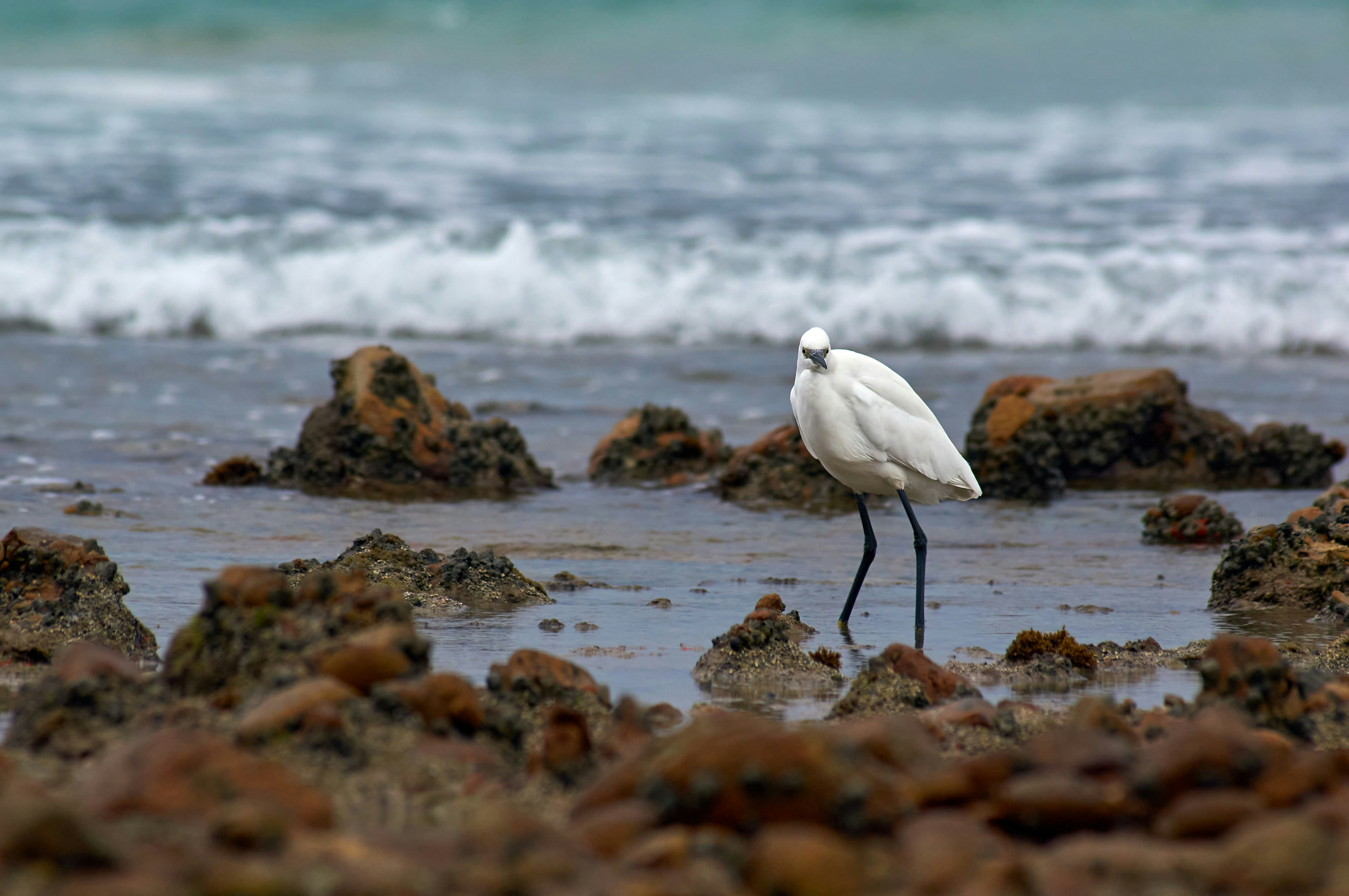 Photo by wolfgang_hasselmann