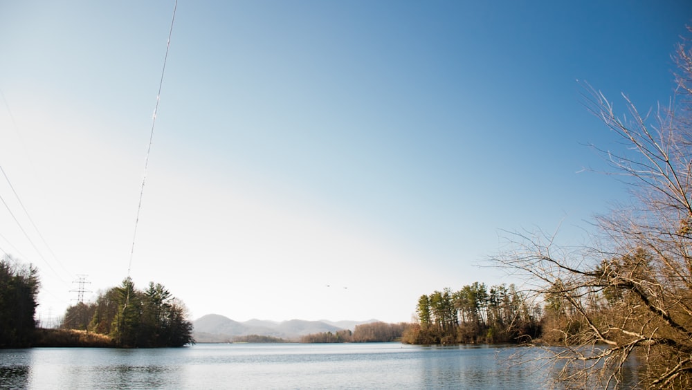 green trees beside body of water during daytime