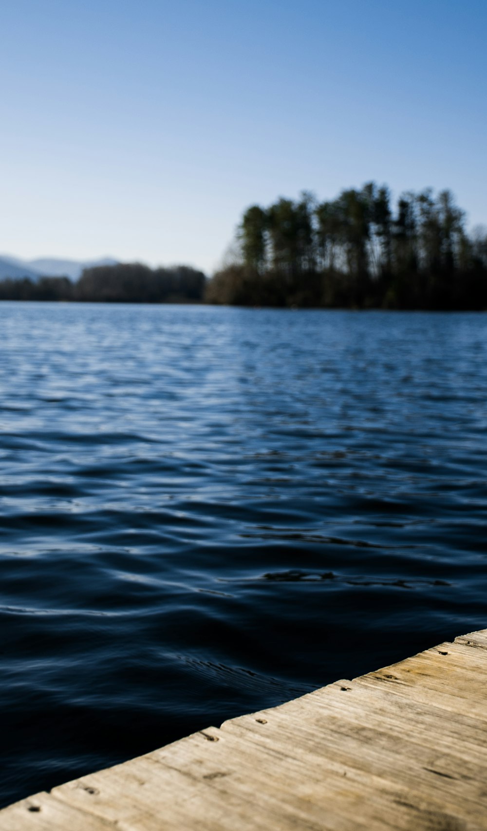 body of water near green trees during daytime