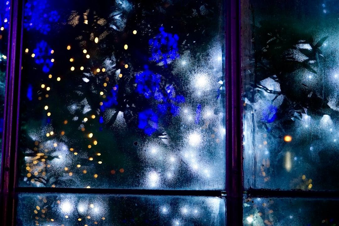 blue and white string lights on glass window