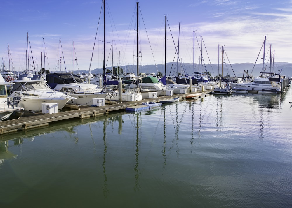 white and blue boats on sea during daytime