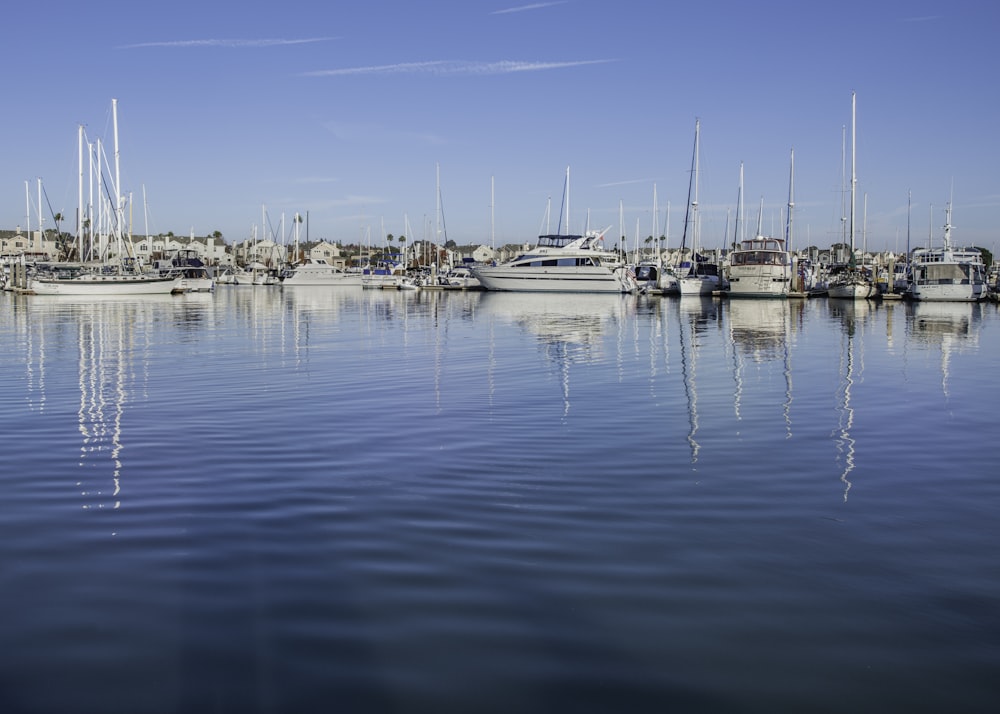 white boats on sea under blue sky during daytime