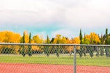 A chain-link fence runs horizontally in the foreground, with an autumnal landscape in the background. Vibrant yellow and orange trees line the horizon, contrasting with evergreen trees. The ground is covered in a mix of green grass and a reddish track surface. The sky is overcast, with hints of blue and gray clouds.