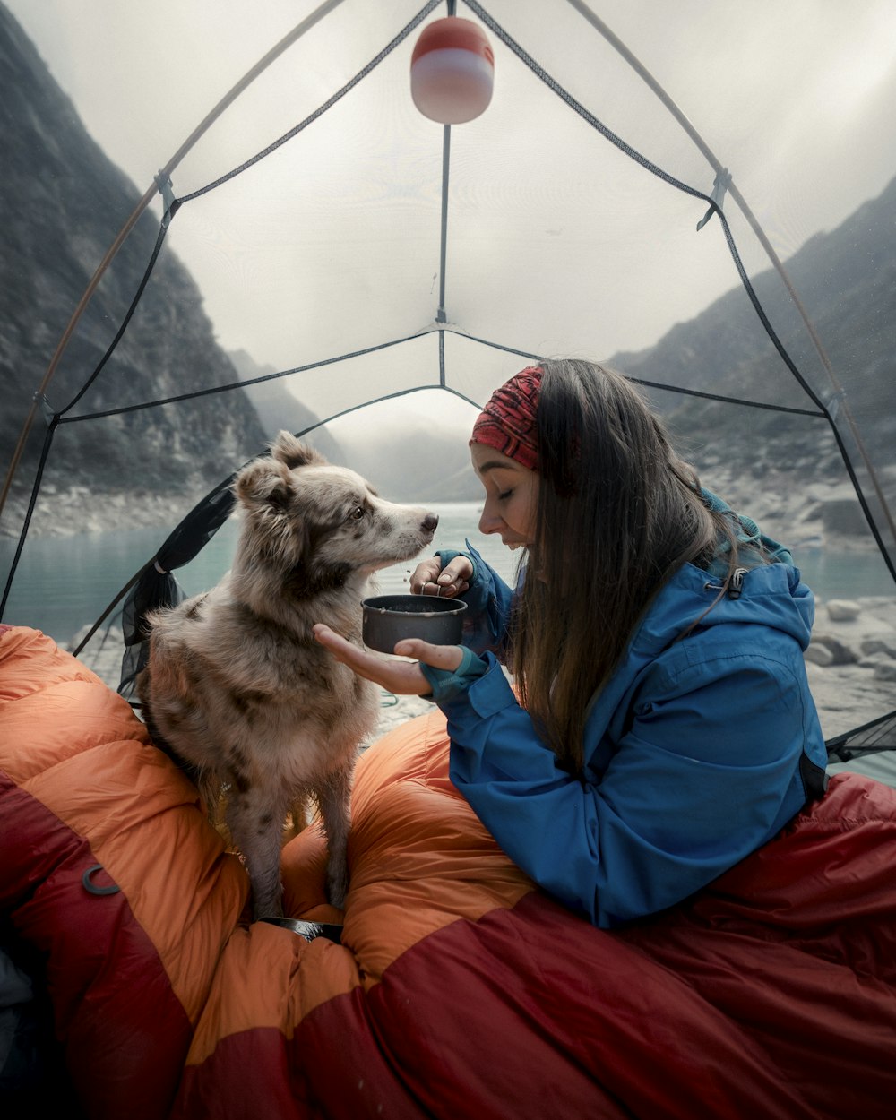 woman in blue jacket sitting beside brown and white dog