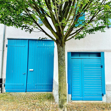 A vibrant blue door and a garage door are set against a white wall, with a tree growing in front of them. The ground is cobblestoned, lending a rustic charm to the scene.