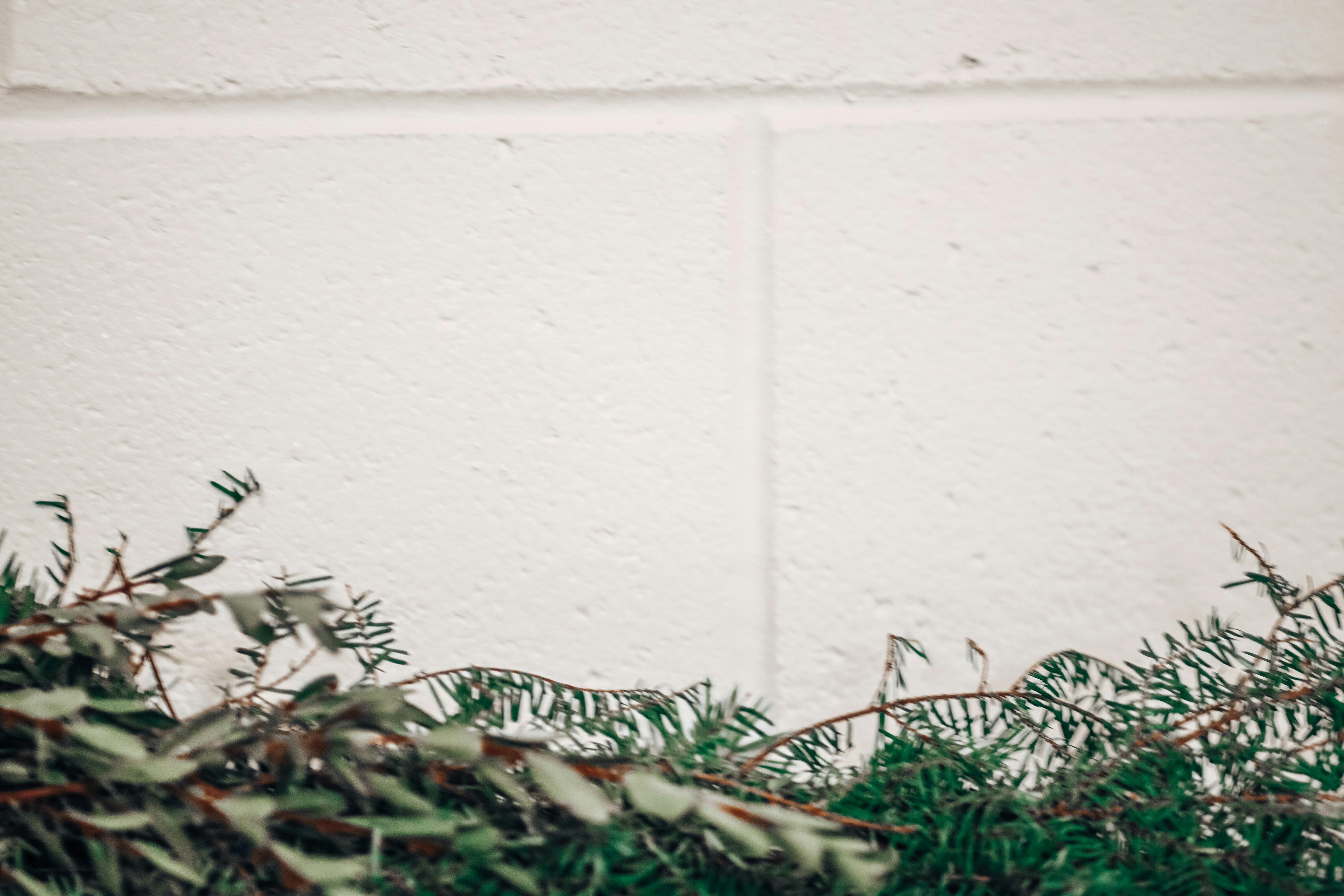 Photo by kolbymilton