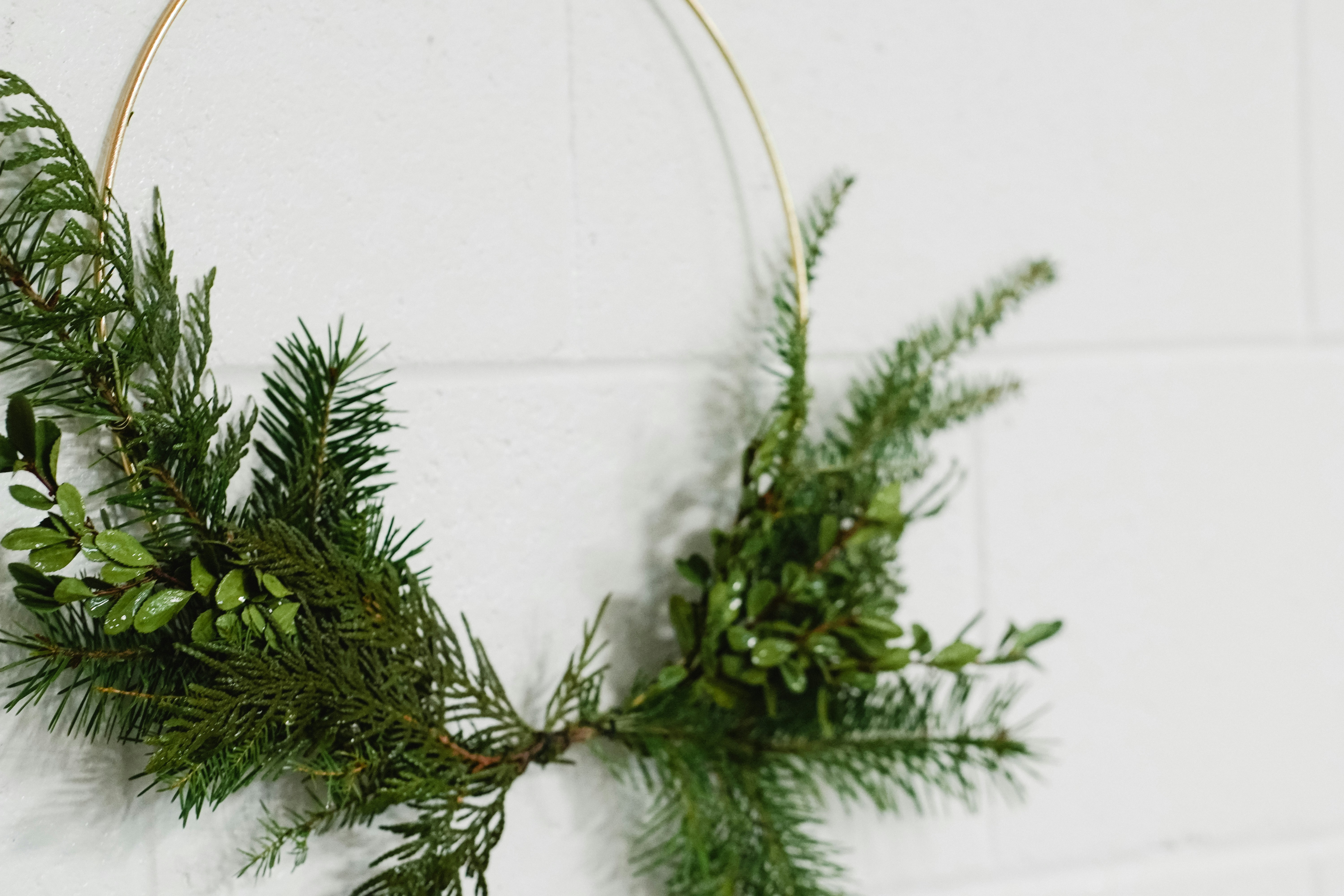 Photo by kolbymilton