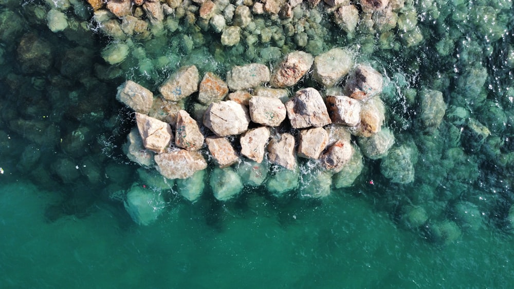 rocas grises y marrones sobre agua verde