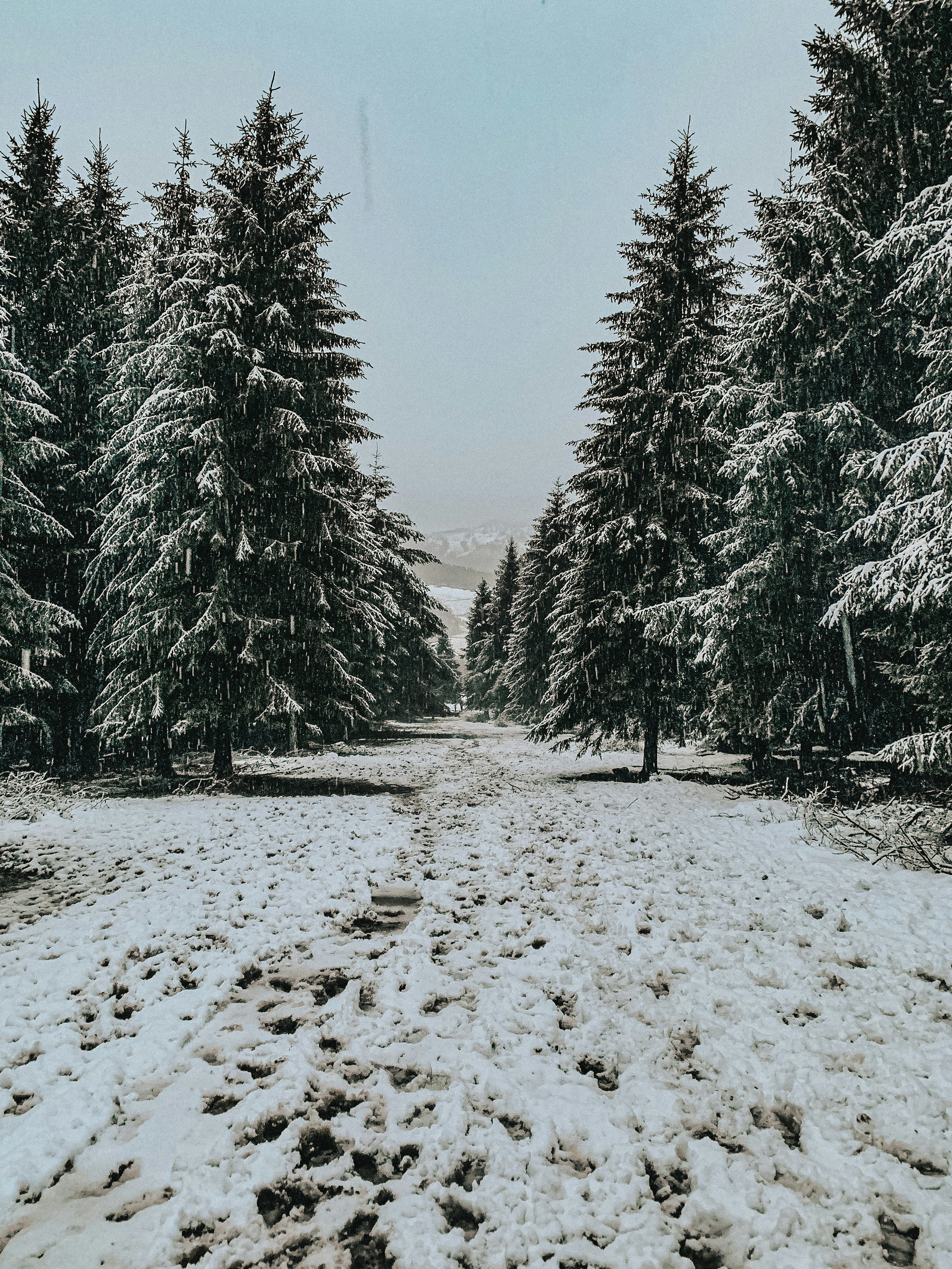 Iñigo Villafruela (@inigo_villa) | Unsplash Photo Community