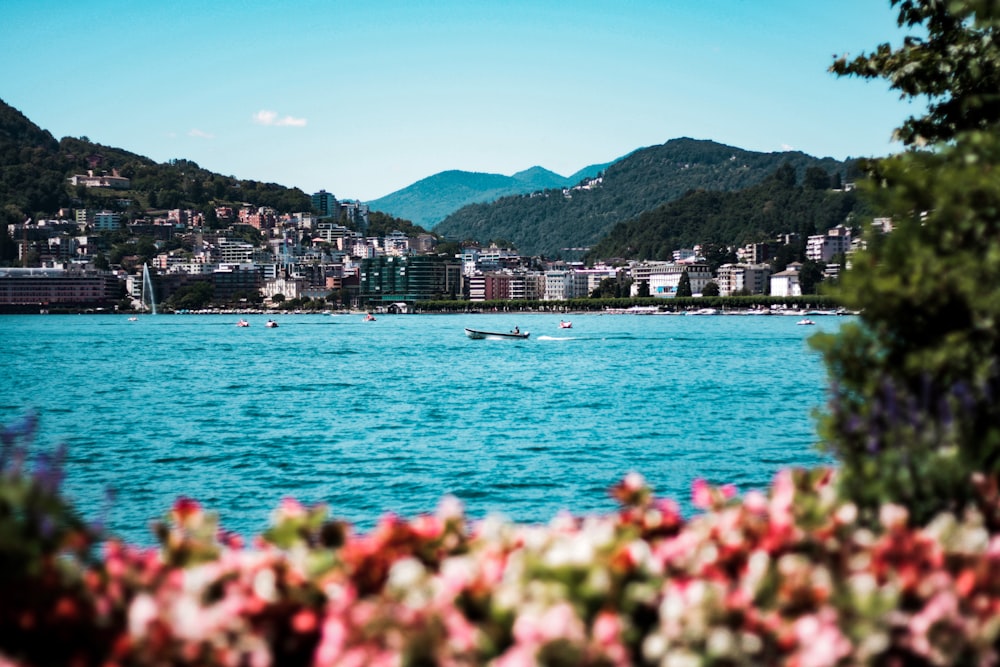 body of water near houses and houses during daytime