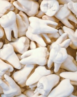 white flower petals on white textile