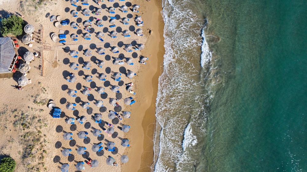 brown and black stones on seashore during daytime