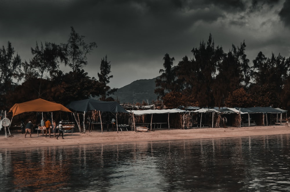 people on beach during night time