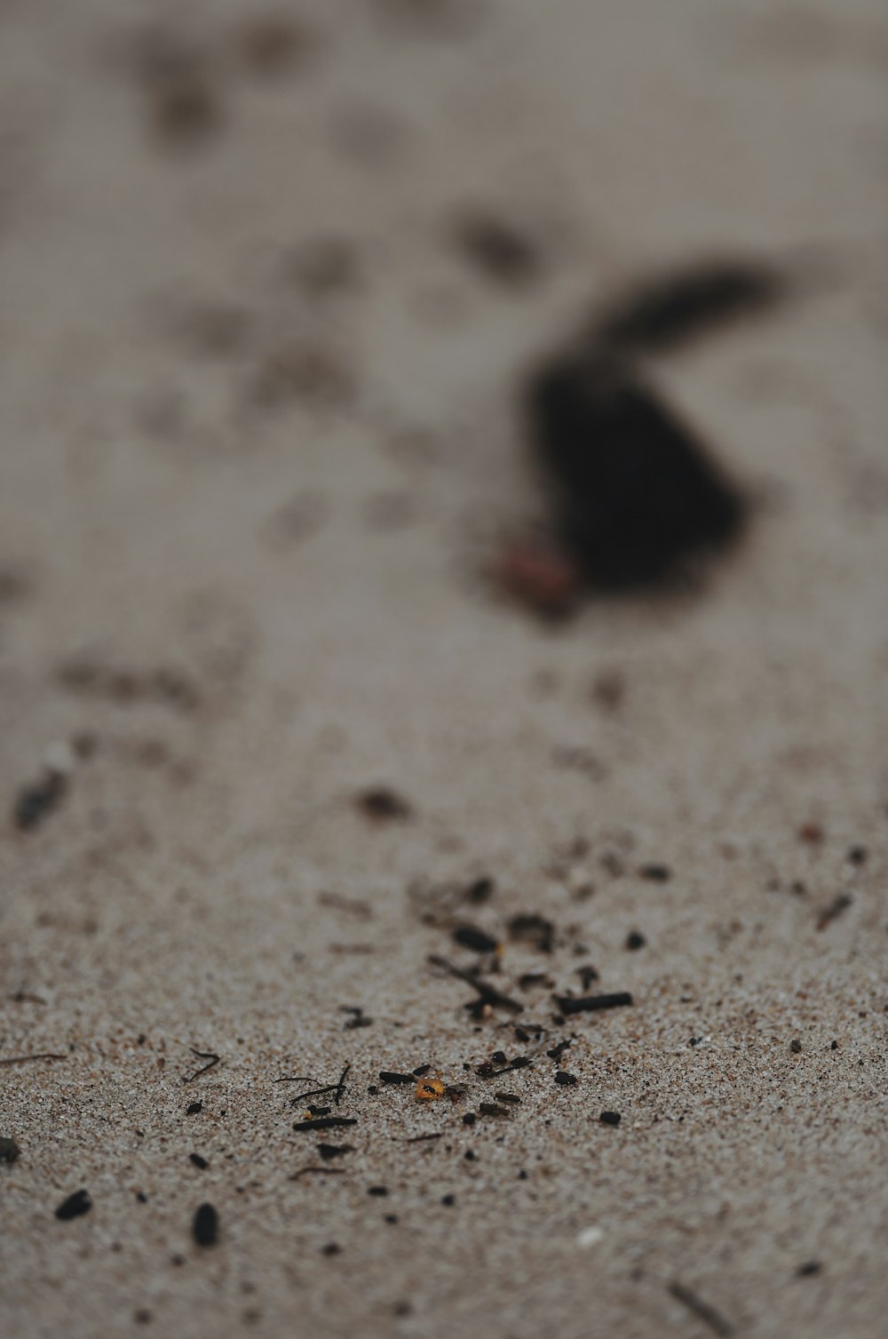 brown sand with black stones