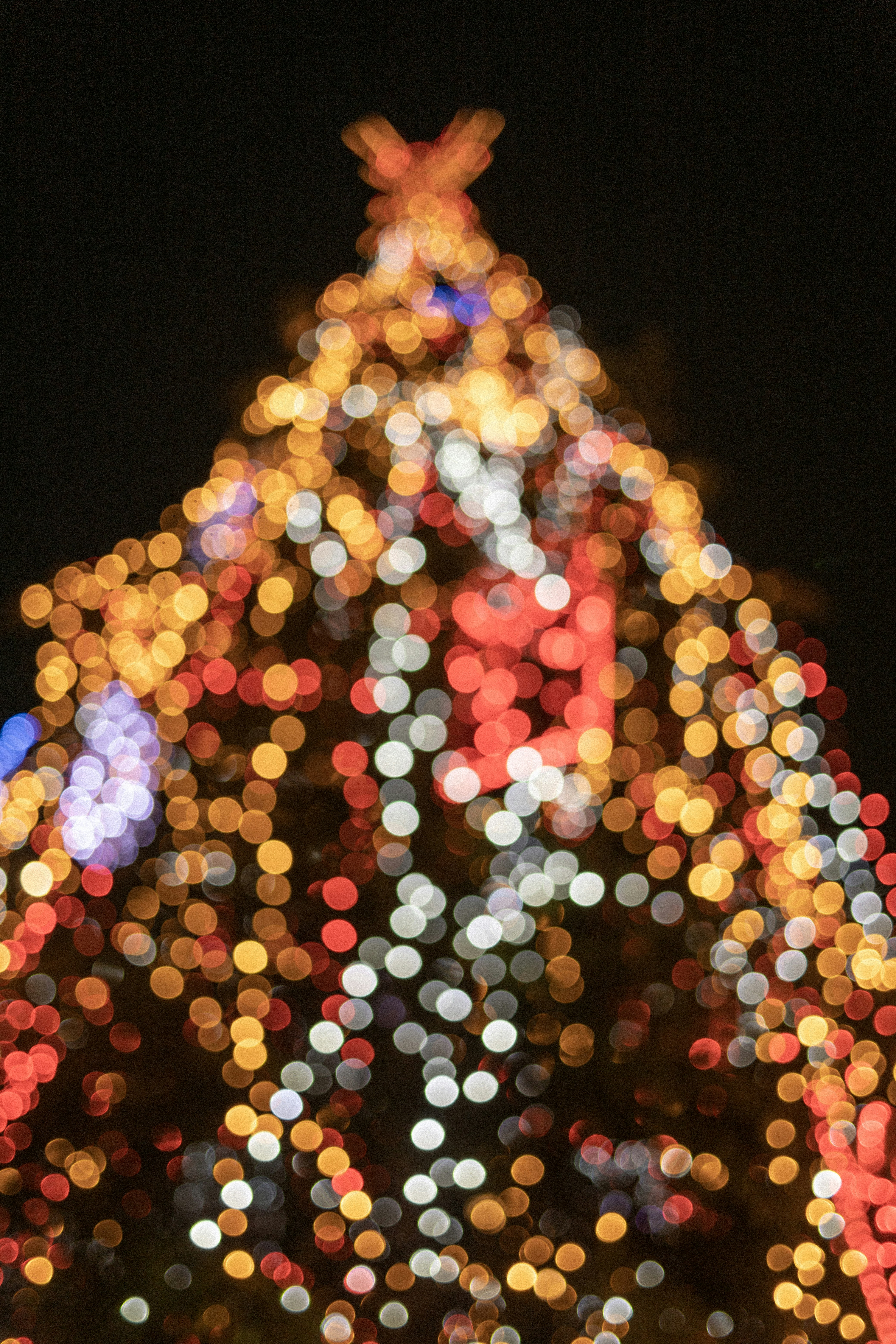 Photo by thewanderinggenk