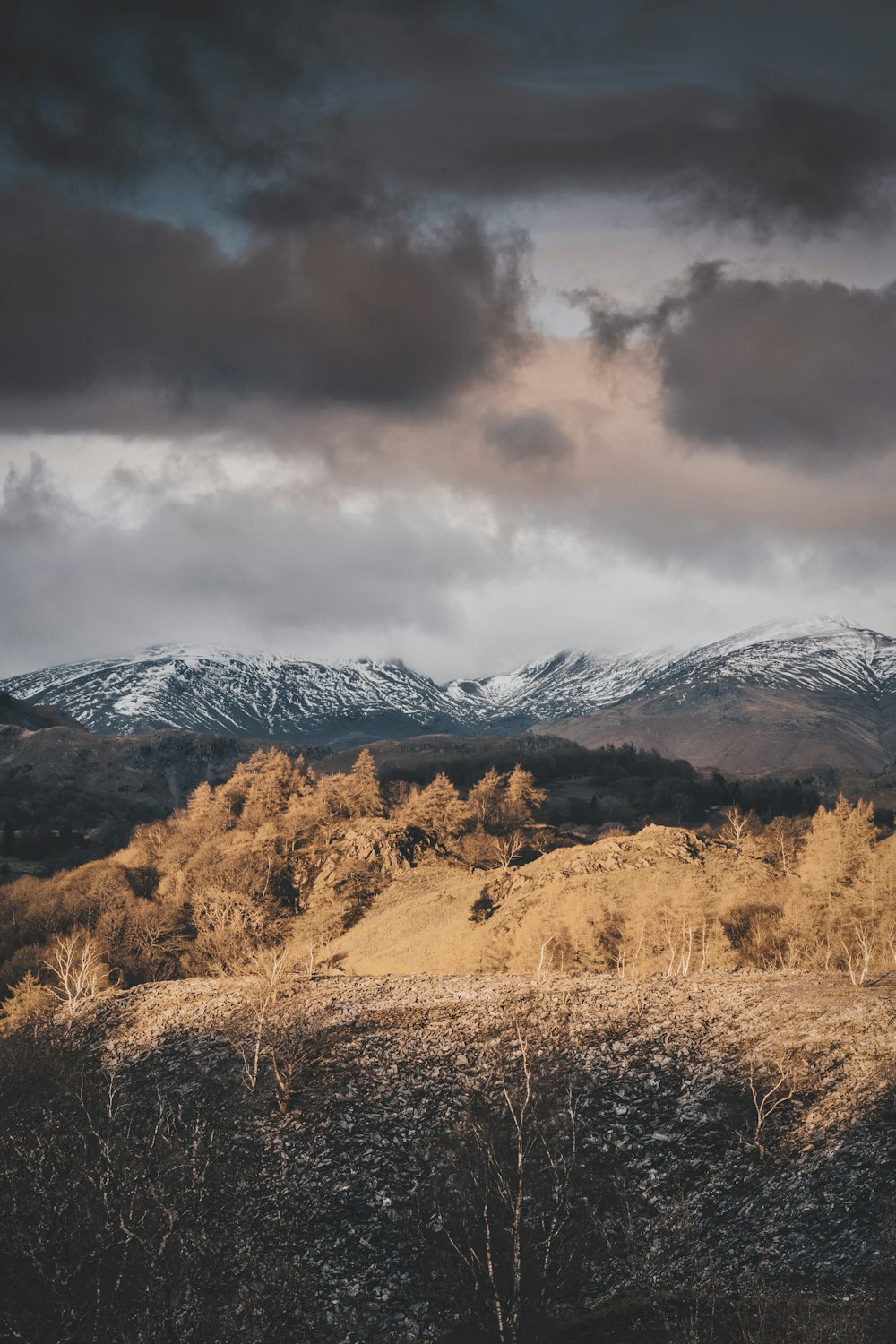 brown grass field near mountain under gray clouds