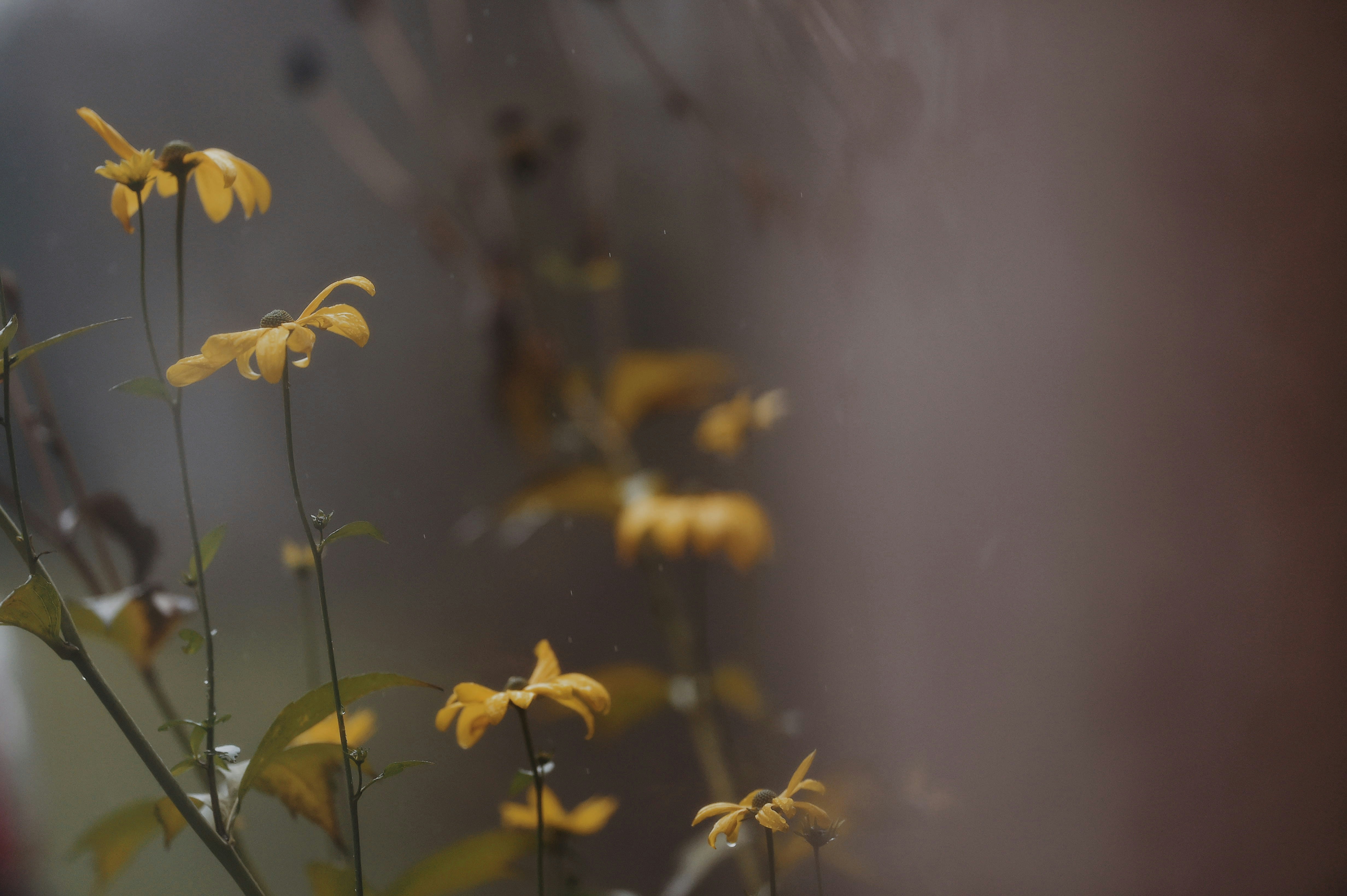 Photo by marijagabaliene