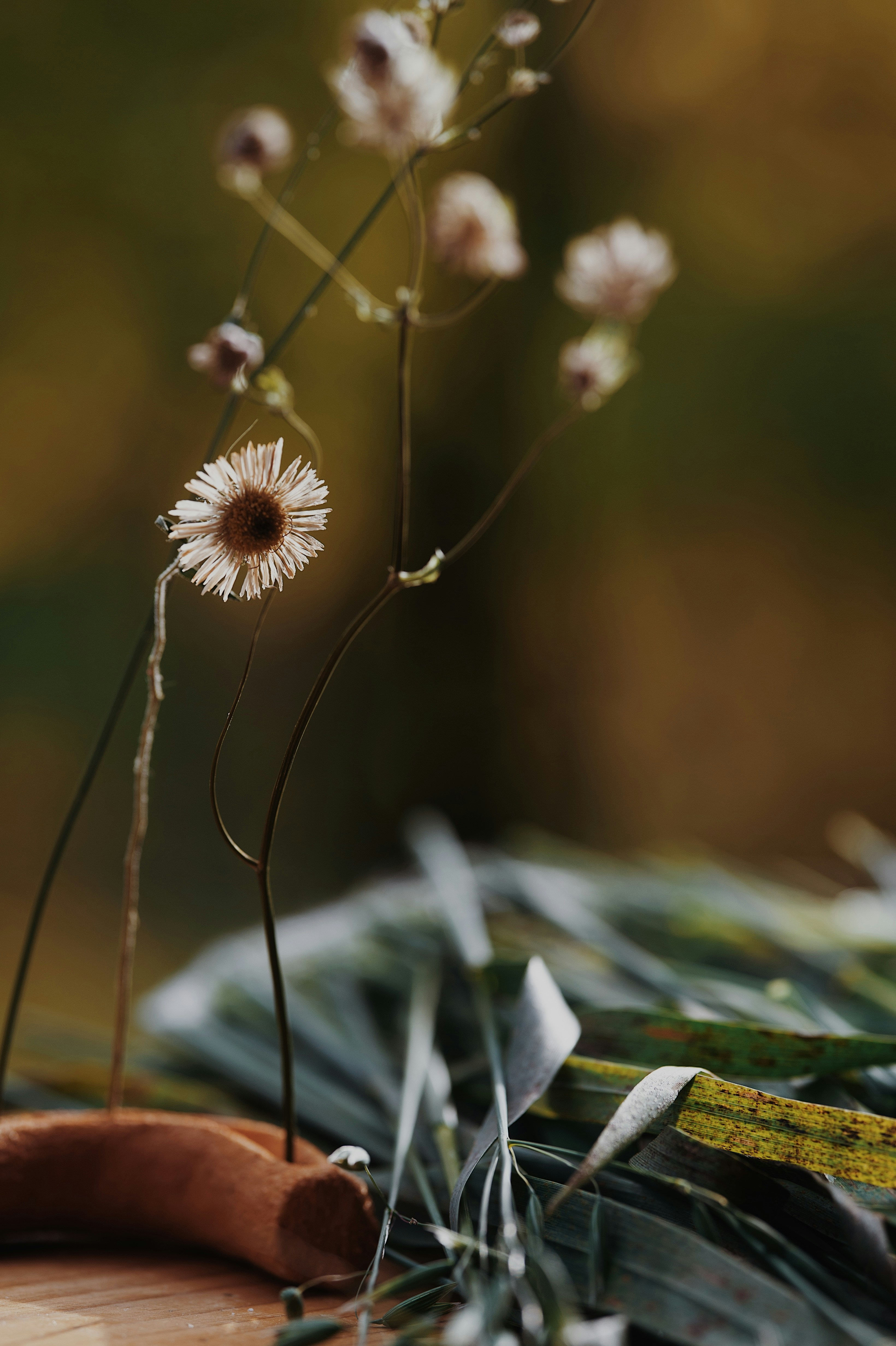 white flower with green leaves