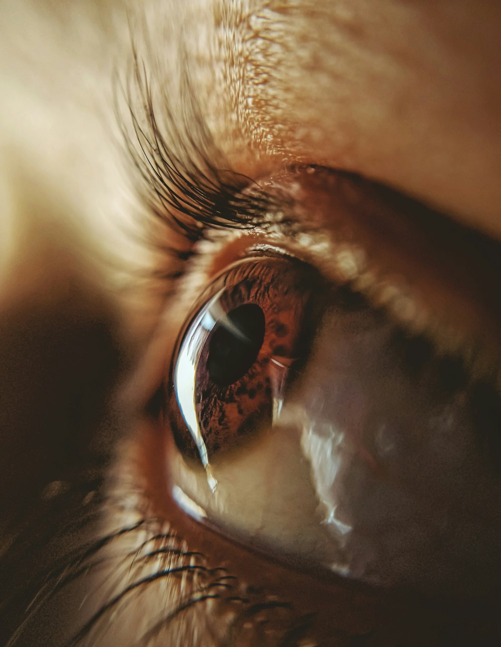 persons eye in close up photography